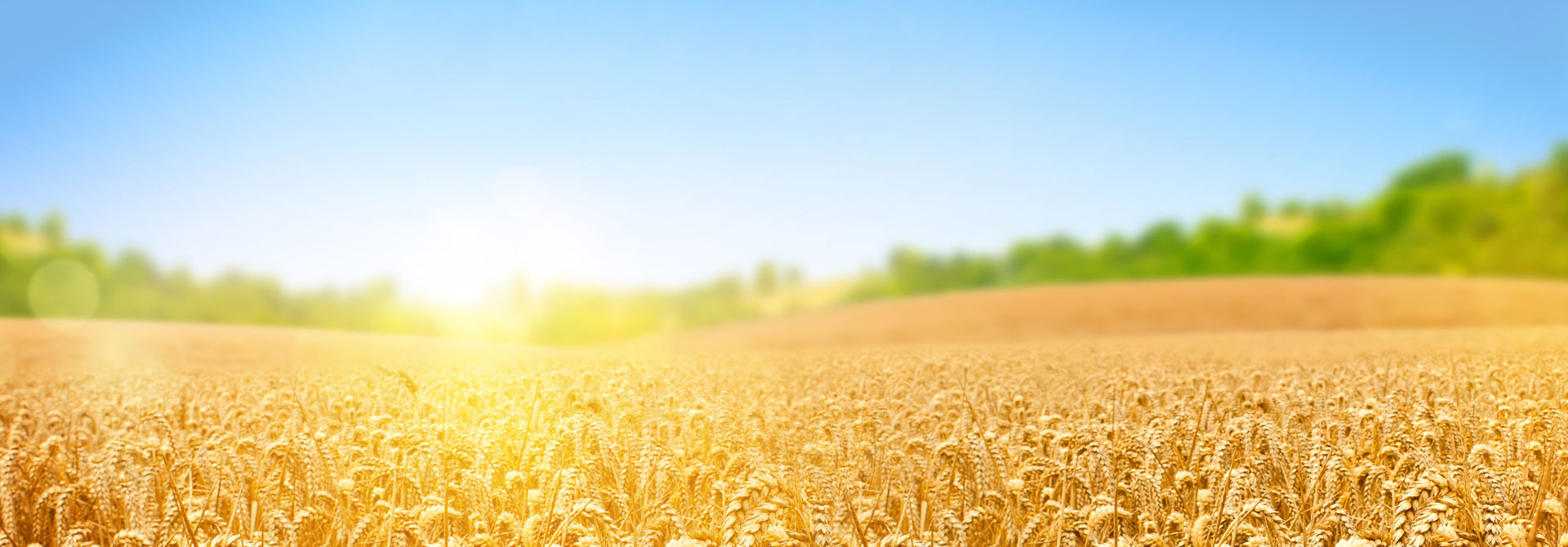 以人为本，诚信共赢